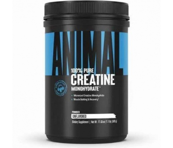 Animal %100 Pure Creatine 500 Gr - Aromasız