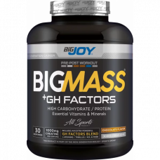 BigJoy Sports Big Mass +GH Factors 3000 Gr - Çikolata