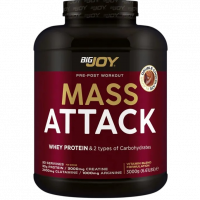 Bigjoy Sports Mass Attack 3000 Gr
