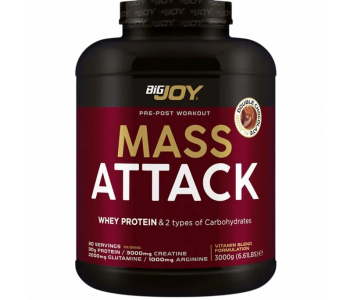 Bigjoy Sports Mass Attack 3000 Gr
