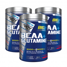 Bigjoy Sports Big2 Bcaa + Glutamine 3'lü Paket