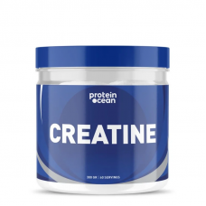 Proteinocean Creatine 300 Gr