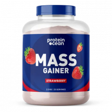 Proteinocean Mass Gainer 3000 Gr