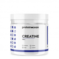 Proteinocean Creatine 400 Gr