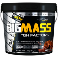 BigJoy Sports Big Mass +GH Factors 1200 Gr