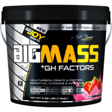 BigJoy Sports Big Mass +GH Factors 1200 Gr