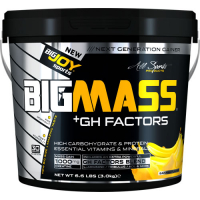 BigJoy Sports Big Mass +GH Factors 3000 Gr - Muz