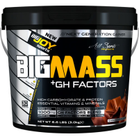 BigJoy Sports Big Mass +GH Factors 3000 Gr - Çikolata