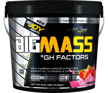 BigJoy Sports Big Mass +GH Factors 3000 Gr - Çilek