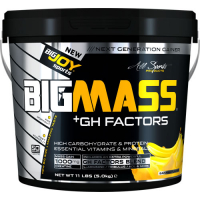 BigJoy Sports Big Mass +GH Factors 5000 Gr