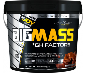 BigJoy Sports Big Mass +GH Factors 5000 Gr